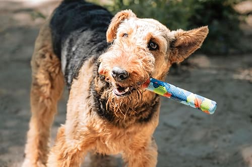 Chuckit! – EcoFetch Ultra Stick – Jagd und Kaustäbchen für Hunde – Ideales Spielzeug für Apportierspiele – Recycelter und robuster Gummi – Einheitsgröße – Durchmesser 28 x 2.5 x 2 cm