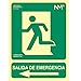 Señal salida emergencia flecha PVC 22.4x30 cm Verde (izquierda)