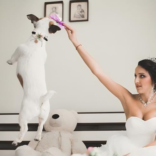 DELORIGIN Ringträger Hund Eheringkissen Für Hundehalsband Aufbewahrung von Paarringen Für Verlobung Heiratsantrag Haustierzubehör Für Kleine Hunde Zeremonie Party