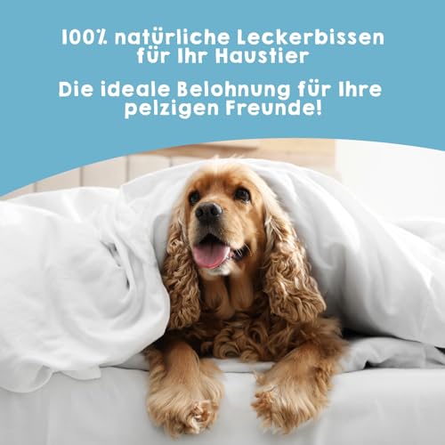 MAIKAI Packung 3 Getrocknete für Hunde und Katzen Sprotten - Natürliche Hundeleckerlis Snacks Reich an Omega 3 6 100% Natürliche Zutaten