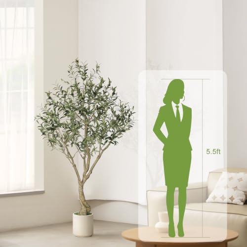 LYERSE Olive Tree 6ft with Sturdy White Planter, Artificial Olive Tree by LYERSE - Used condition - Image 5