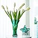 Green Blown Glass Vase for Flowers, 9.6