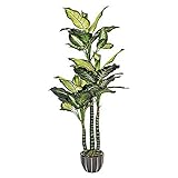 Planta artificial pata de elefante 150 cm altura, Catral 74010019