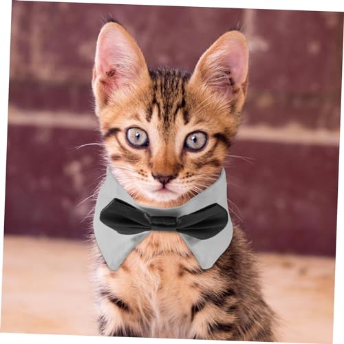Collier pour chien nœud papillon confortable accessoire mignon