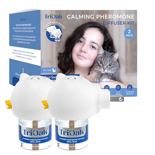 Picture of Cat Calming – The 15 best products compared - Wild Explained