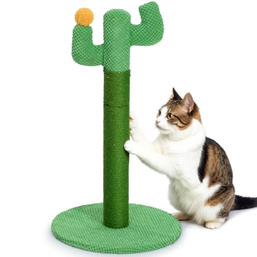 Happy & Polly Rascador para Gatos Cactus 60 cm - Poste en Cuerda de Yute Natural con Base Estable para Gatitos y Adultos en Interiores - Verde