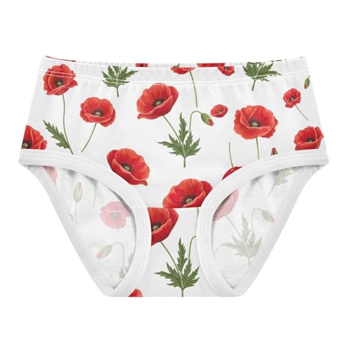 Girls Underwear Toddlers 2t Cotton Panties Little Girl Designer Underpants Briefs Vibrant Red Flowers Leaves White