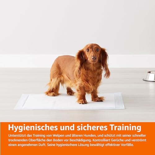 Amazon Basics Hunde-Pinkeltücher für das Töpfchentraining, auslaufsicher, parfümiert, 5-lagig, 56 x 56 cm, Normal (30Stück), Blau/Weiß