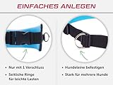 LASALINE Canicross Gürtel Bauchgurt für Hundeleine Dogtrekking Gürtel in Schwarz Hellblau