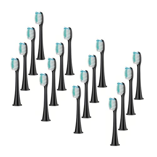 duVwbhA\ȉgÃuVɓK(BLACK 16pc)