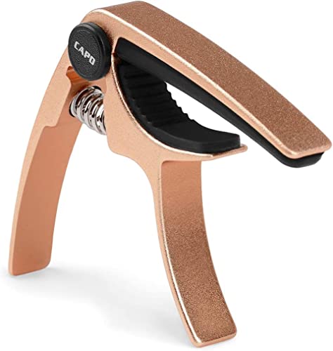 M^[ J|^Xg ^b` \vm RT[gpJ| ^b` 킢J|^Xg capo sbNt iۏ