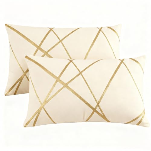Miuyunya Terciopelo Fundas Cojin Sofa 50x30 Grande Fundas Cojines Verano Beige Y Dorado Moderna Suave Almohadas Decorativo para Sala de Estar Patio Balcón Jardín Coche Juego 2