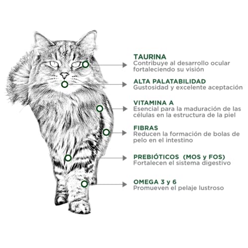 Opiniones de Nupec gato , tabla con los diez mejores. 12 Opiniones de Nupec gato , tabla con los diez mejores. 12