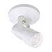 WAC Lighting, LED Monopoint 007 Spot Light in White