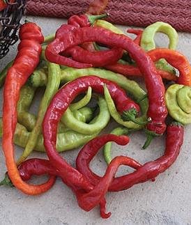 Pepper Hot Ristra Cayenne 1,000 Seeds
