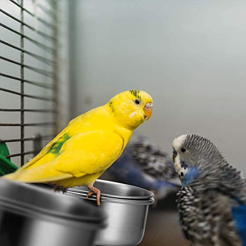 Water Food Bowl Bird Cage Cups, 2 stuks RVS Vogel Opknoping Bowl, Vogelvoeding Schotel Cups, Dierenkooi Water Food Bowl… - Afbeelding 7