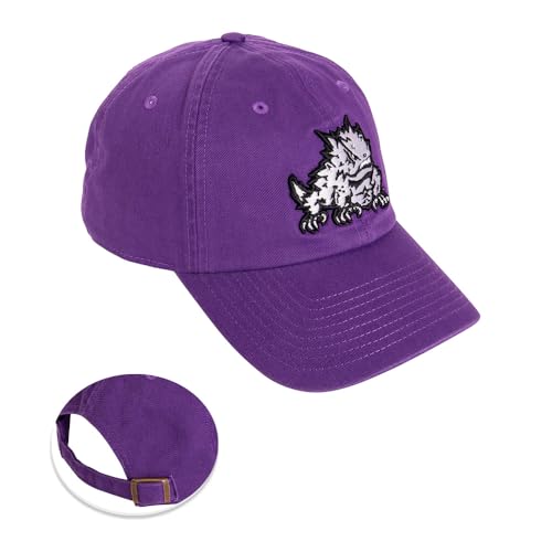 Desert Cactus TCU Texas Christian University Baseball Hat Horned Frogs Brimmed Embroidered Hats Cap Adjustable Cloth Strap Adult (Style C1) Purple
