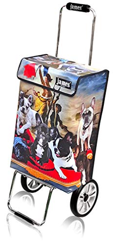 James® Einkaufstrolley modern Design Botticelli, Einkaufswagen bunt, Hackenporsche, Shopping-Lifestyle, Planenmaterial, bis 50kg Tragkraft, Grosse Räder, Made in Vienna – Bild 3
