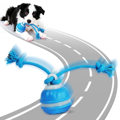 AOOHA Palla per Cani Interattiva,Pallina Ricaricabile USB Che Si Muove da Sola,Wicked Ball Air Self Moving Dog Ball per Cani e Gatti di Piccola Taglia