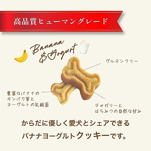 Dogsee Gigabites Cookies 300g – Banana & Yogurt Dog Biscuits for Adult Dogs & Puppies | Natural Vegetarian Treats | Crunchy Puppy Snacks for Training | Supports Strong Bones & Digestion