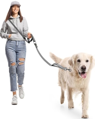 Harnais de Marche Main Libre pour Chien - Laisse Multifonctionnelle Renforcée 2.9m Réglable, Boucle de Sécurité Voiture - pour Chiens Moyens et Grands -...