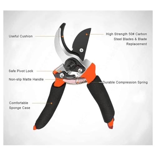 Image of STEFFAN Garden Pruning Shears Heavy Duty 8 Inch Plant Cutter Scissors for Home Gardening, Sharp Blade Branch Cutter Tool for Trees, Shrubs, Flowers & Indoor Outdoor Plant Trimming (8 inch)