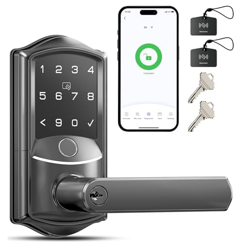 Veise Door Lock