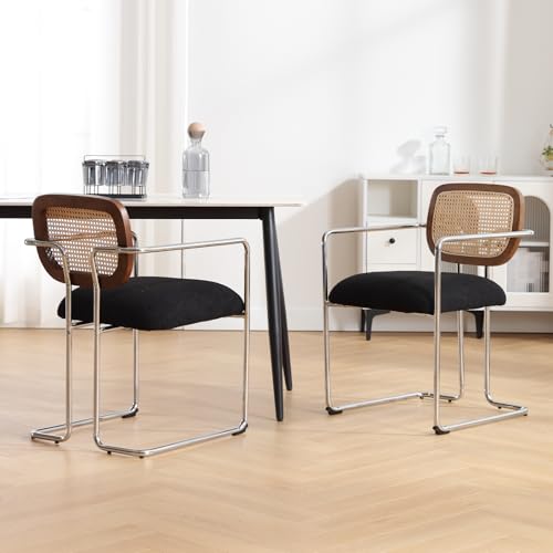 chairus Chaise de Salle à Manger Lot de 2 Chaise Rotin en Fausse Fourrure Fauteuil Salon Chaise de Cuisine avec Pieds en Métal, Noir