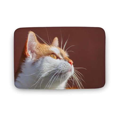 L   oX}bg z/唻 փ}bg  O    ~ Aj LN^[ @}bg   ʏ