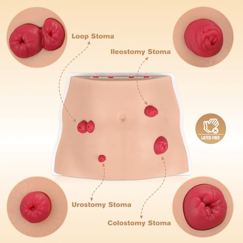 Image of Ostomy Care Trainer Kit, Realistic Abdominal Stoma Model with 4 Stoma Types, Medical Simulation Model for Nursing Students & Patient Care Training