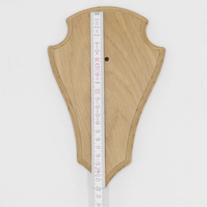 REH - Placas de trofeos (5 unidades, 21 x 13 cm, en punta, tamaño grande, roble claro, con 1 compartimento de pino)