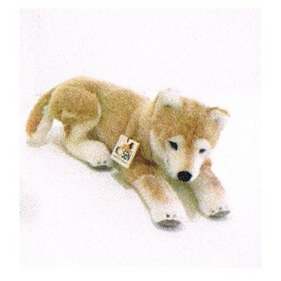 Amazon.co.jp: ケーセン社ぬいぐるみ 柴犬 伏せ : おもちゃ