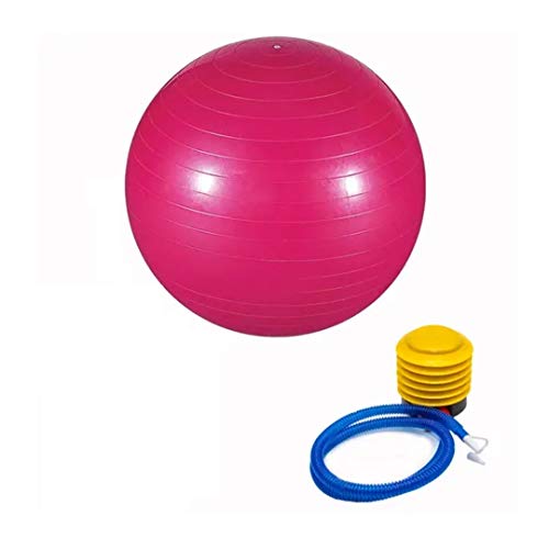Bola Pilates Yoga Abdominal Ginastica 75cm Com Bomba - Rosa
