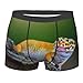 Ncpkcb Lizard Reptile Fashion Underwear 3d Printed Underpants Breathable Soft Boxer Brief For Men