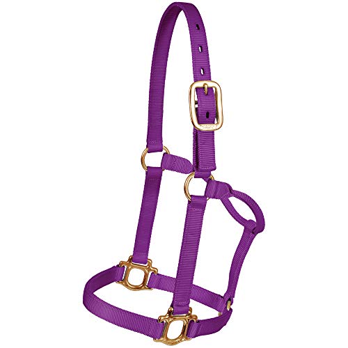 CHALLENGER Horse Nylon Halter Bling Tack Noseband Colt Weaning 60639W