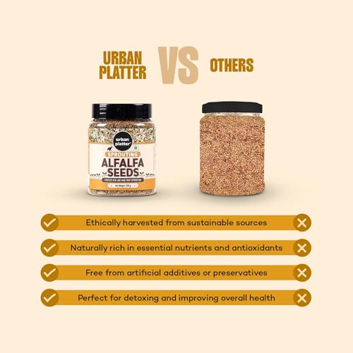 Urban Platter Alfalfa Sprouting Seeds | 8.82 Oz (250g) | Rich in Fiber & Protein | Perfect for Fresh Sprouts, Salads, Sandwiches & Smoothies | 100% Natural, Non-GMO & Preservative-Free