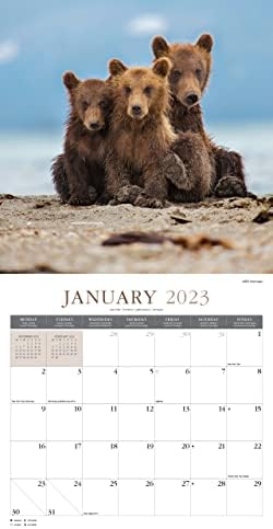 Baby Animals 2023 Large Wall Calendar, by Fresh Publishing , Size 12in x 24in (Open), Thick & Sturdy Eco Friendly (FSC) Paper.