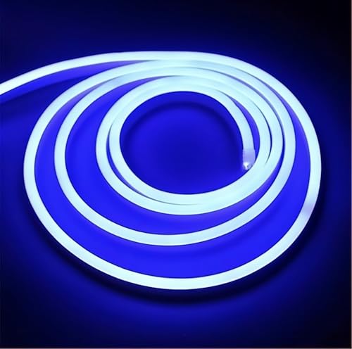ONSSI Neon LED-Streifen 220V 12W/m,(Blau, 10 Meter) COB-Lichtschlauch mit hoher Helligkeit,jeder Schnitt von 10 cm,IP65 Wasserdicht Mit Aufkleber und Stecker,Neon-LED für den Innen- und Außenbereich