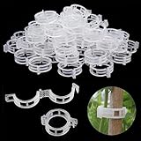 Peyca Clips para tomateras tamaño 24mm - Bricomed. 30 Clips para entutorar Todo Tipo de Plantas. Tutores para Plantas, Soporte para Plantas. Tutor para Tomates