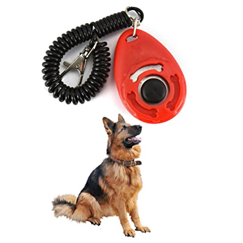 Ipetboom Training Clicker in Use