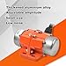 ATO 30W Concrete Vibration Motor with Speed Controller, Adjustable Exciting Force DC Electric Vibration Motor Low Noise Concrete Vibrating Motor 3600rpm 1 Phase 110V