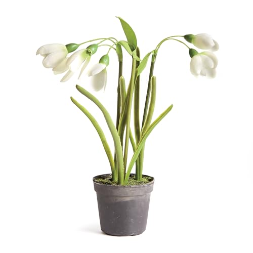 NAPA Home & Garden Snowdrop Drop-in