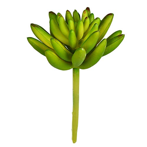 Vickerman Everyday 4