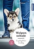 Welpenschule: So gelingt dein Einstieg - eingewöhnen, erziehen, Troubleshooting - mit den wichtigsten Dos & Don'ts