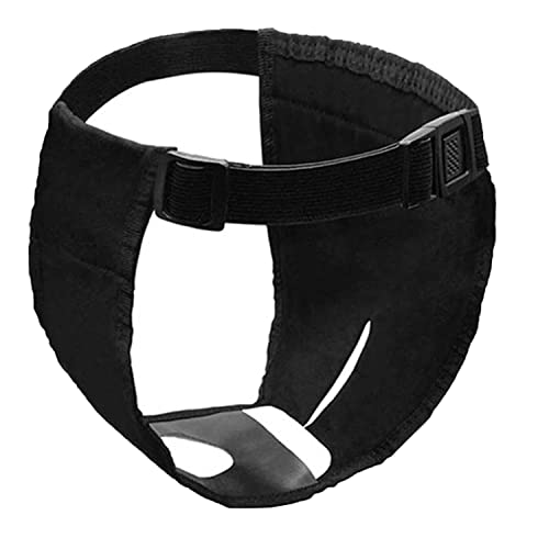 Paquete de 2 Pantalones para Perros, pañales para Perros con 6 Toallas sanitarias, Pantalones Protectores Ajustables para Perras en celo, Sangrado mensual, Cachorro (L)