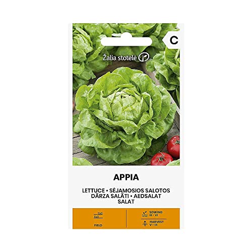 Zalia stotele | LECHUGA APPIA Semi | Semillas de hortalizas | Semillas de plantas | Semillas lechuga | Semillas de jardín | 1 paquete