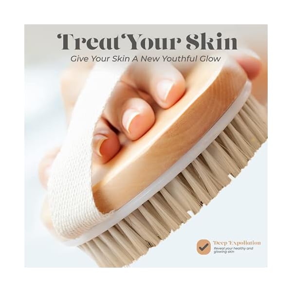 Dry-Skin-Body-Brush-Improves-Skins-Health-and-Beauty-Natural-Bristle-Remove-Dead-Skin-and-Toxins-Cellulite-Treatment-Improves-Lymphatic-Functions-Exfoliates-Stimulates-Blood-Circulation Dry Skin Body Brush - Improves Skin's Health and Beauty - Natural Bristle - Remove Dead Skin and Toxins, Cellulite Treatment, Improves Lymphatic Functions, Exfoliates, Stimulates Blood Circulation