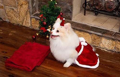 Vestido de Natal Modernpet para Cachorro Vermelha - Tam. M