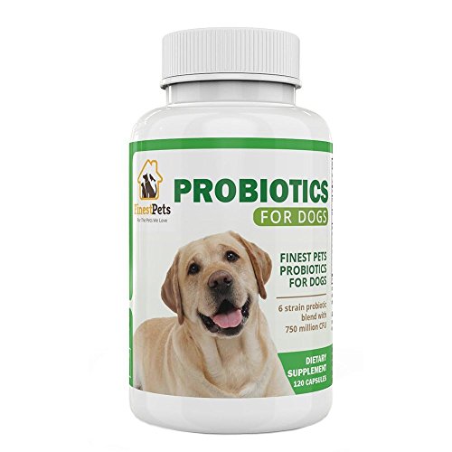 #1 Premium Finest Pets Probiotic Supplement For Dogs. Manufactured In The USA, , 120 Capsule Pills Helps Reduce Diarrhea, Allergies, Itching, Bloating, Upset Stomach And Bad Breath #1 Premium Finest Pets Probiotic Supplement For Dogs. Manufactured In The USA, , 120 Capsule Pills Helps Reduce Diarrhea, Allergies, Itching, Bloating, Upset Stomach And Bad Breath