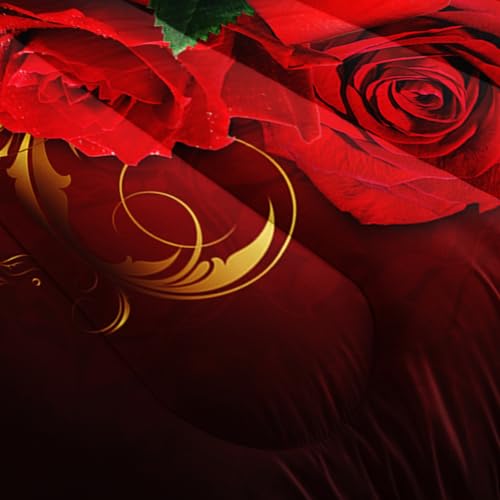 Image of AILONEN Red Rose Comforter Set Queen Size, Romantic Love Floral Theme Bedding Set,Red Flower Couple Lover Comforter 3 Pieces Bed in a Bag, 1 Quilt and 2 Pillowcases
